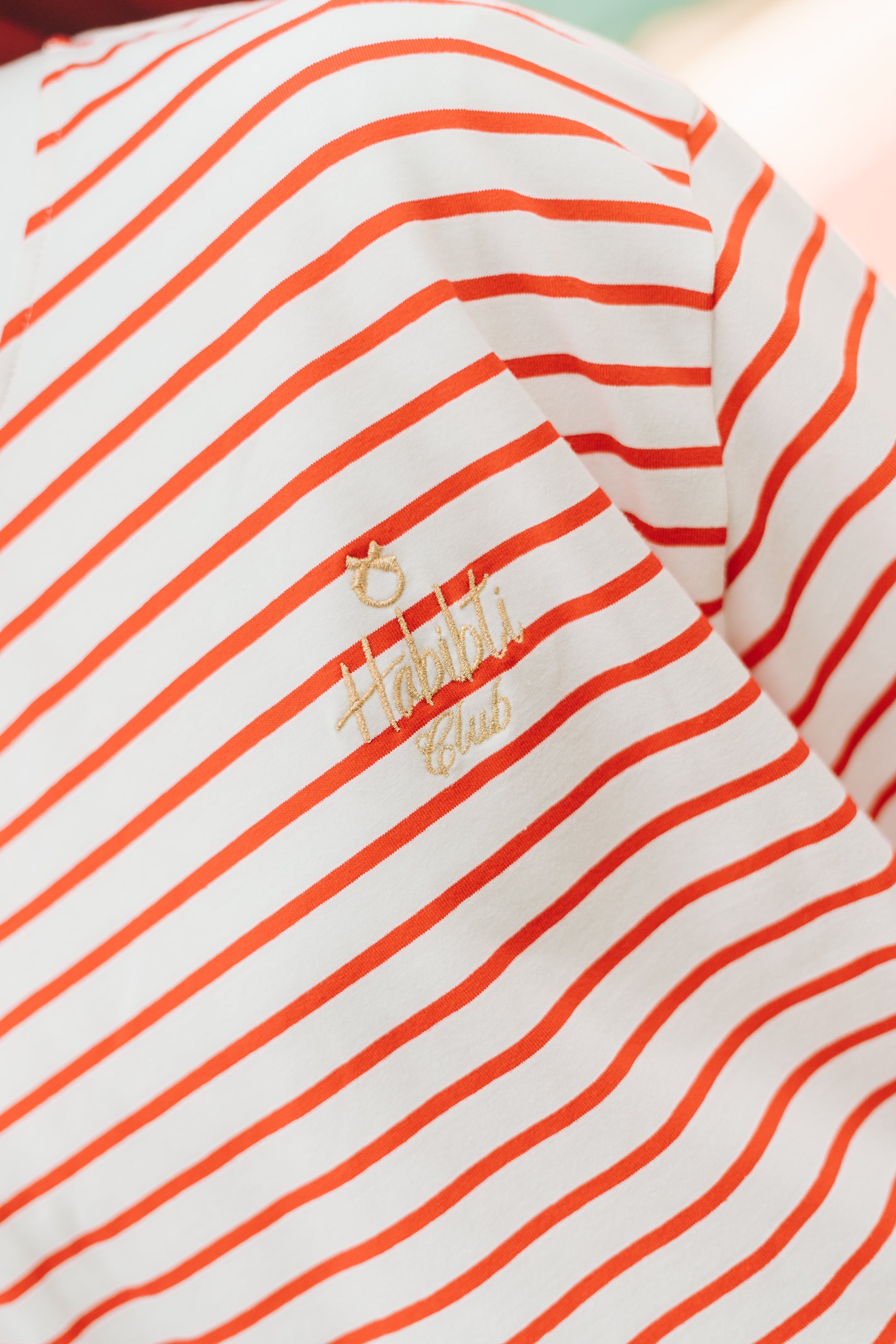 Habibti Stripe Top